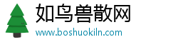 如鸟兽散网